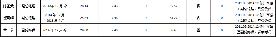 企业负责人2015年度薪酬情况（2）.png